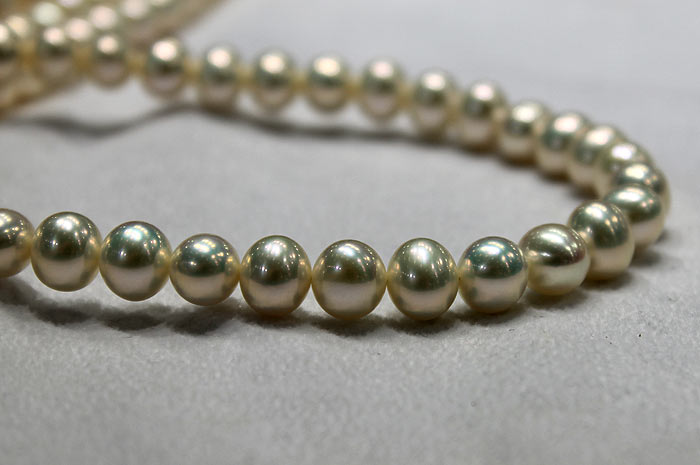 freshwater metallic pearl strand in light gold