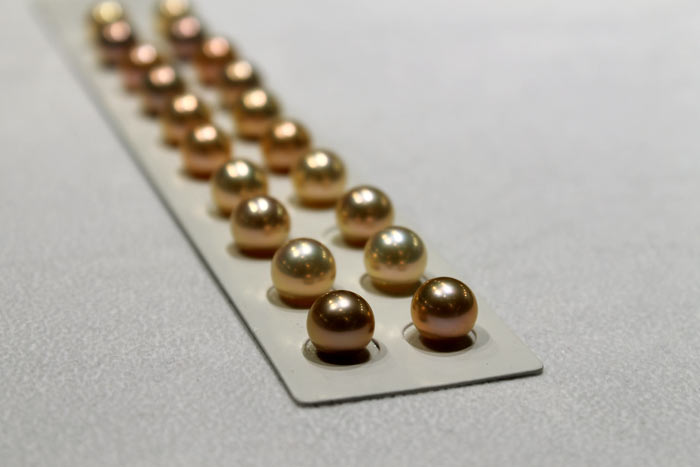 rows of pre-matched golden metallic freshwater pearls
