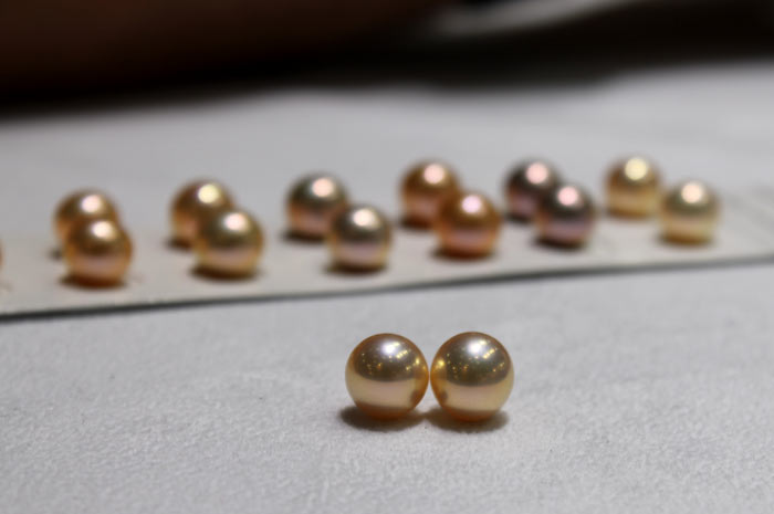 a lighter colored pair of golden metallic pearls