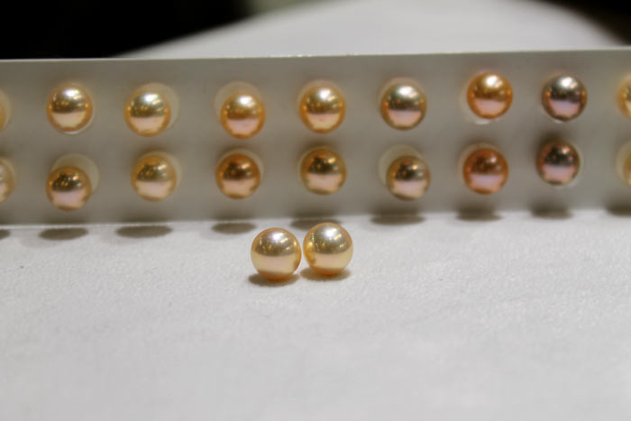 champagne colored golden freshwater pearls