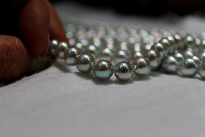natural color Akoya Pearls