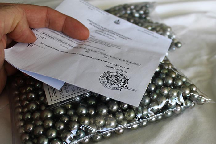 export certified Tahitian Pearls