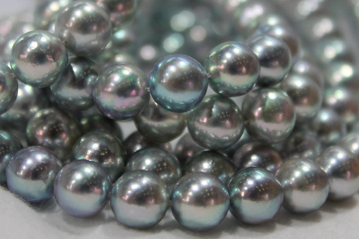 natural color japanese akoya pearls