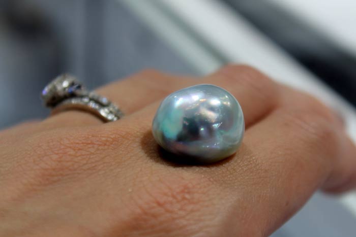 close up of a single south sea pearl