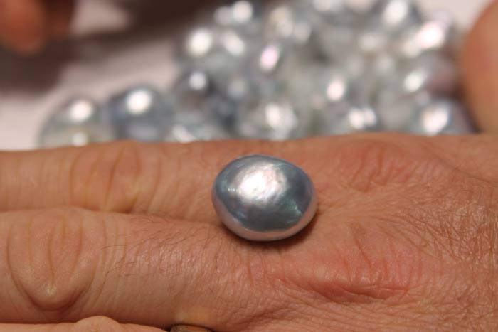 button shaped south sea pearl