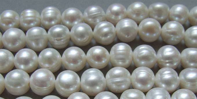 freshwater circle pearls