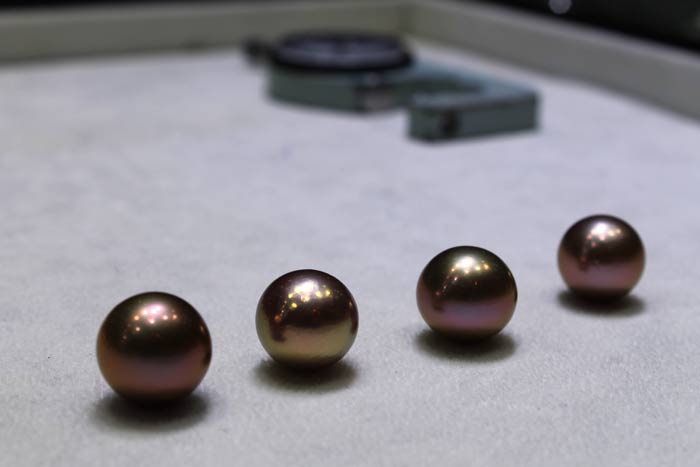 rare colored Edison pearls