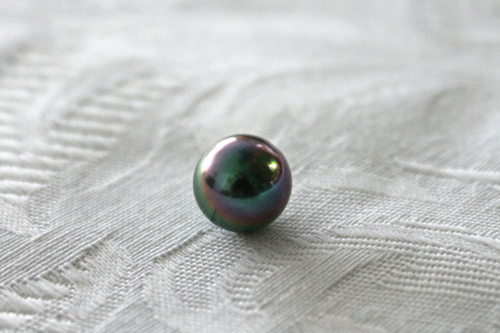 Single incredible peacock Pearl