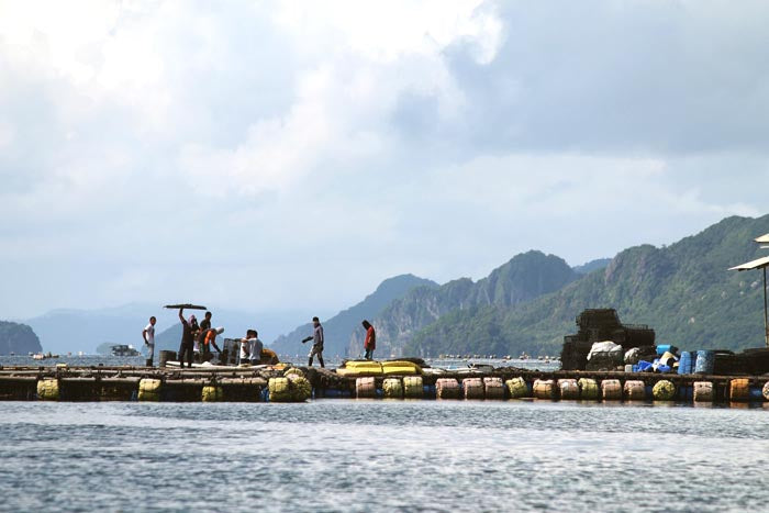 Flower Island pearl farmers