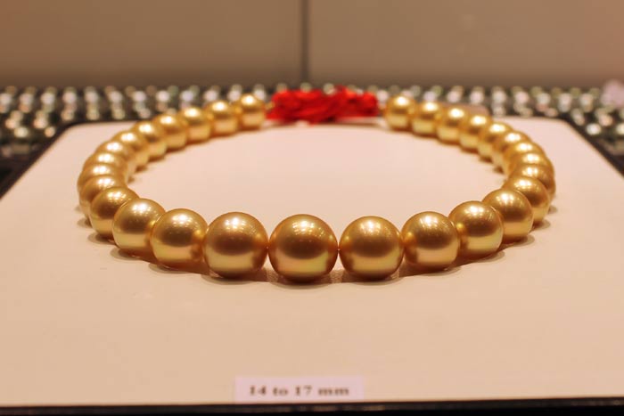 golden south sea pearls