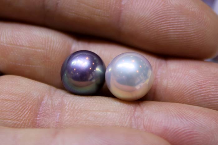 freshwater edison pearls