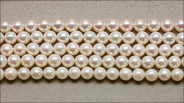 different grades of japanese saltwater cultured pearls