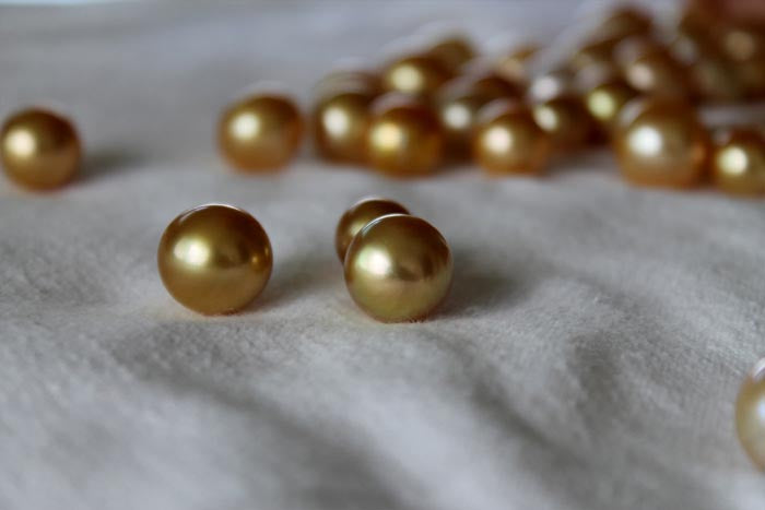 extracted Golden South Sea Pearls