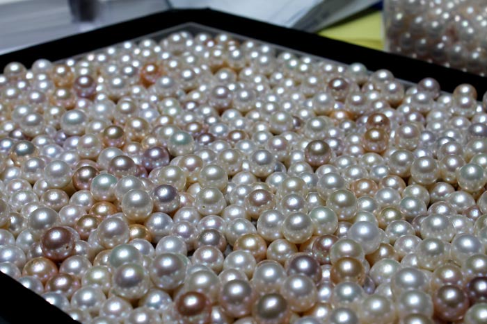 metallic freshwater pearls