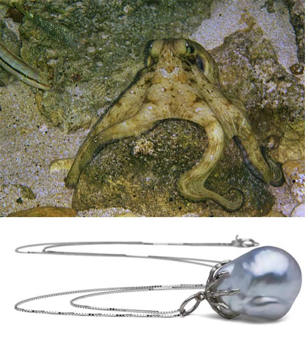 octopus styled pendant