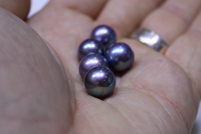 selecting edison pearls