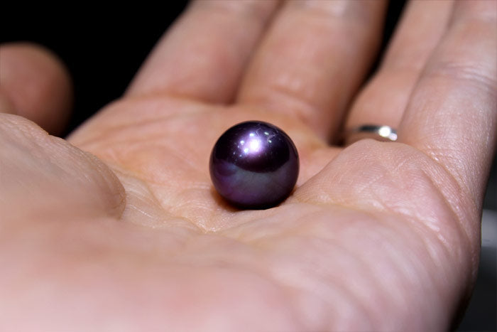 deep purple freshwater pearl