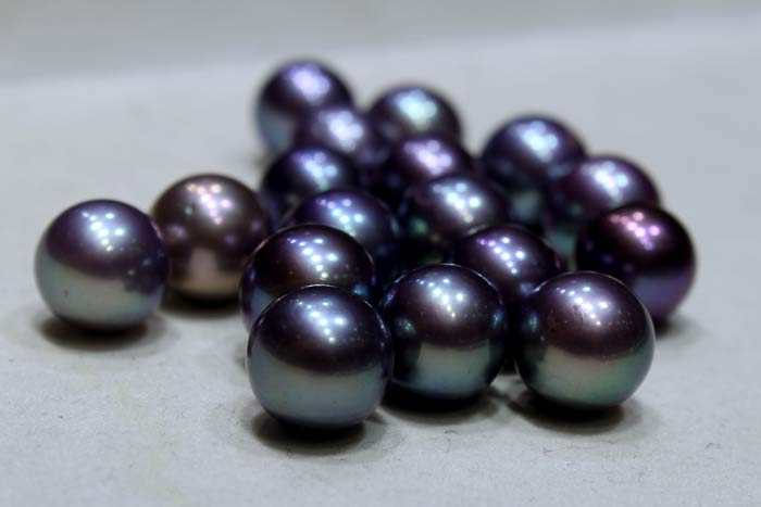 purple edison pearls