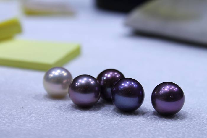 white and purple Edison pearls