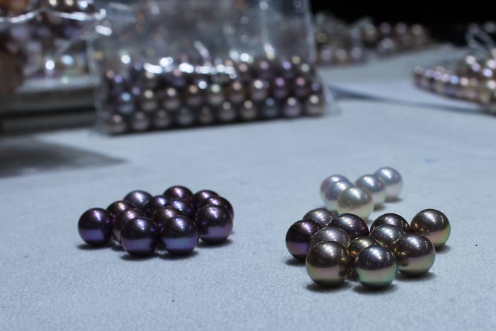 Edison pearls grouped by color