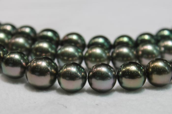 closeup of peacock Tahitian pearls