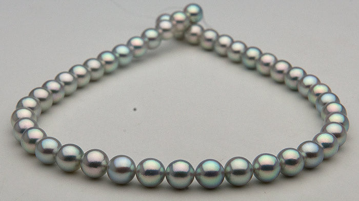 metallic blue natural color Vietnamese Akoya Pearls