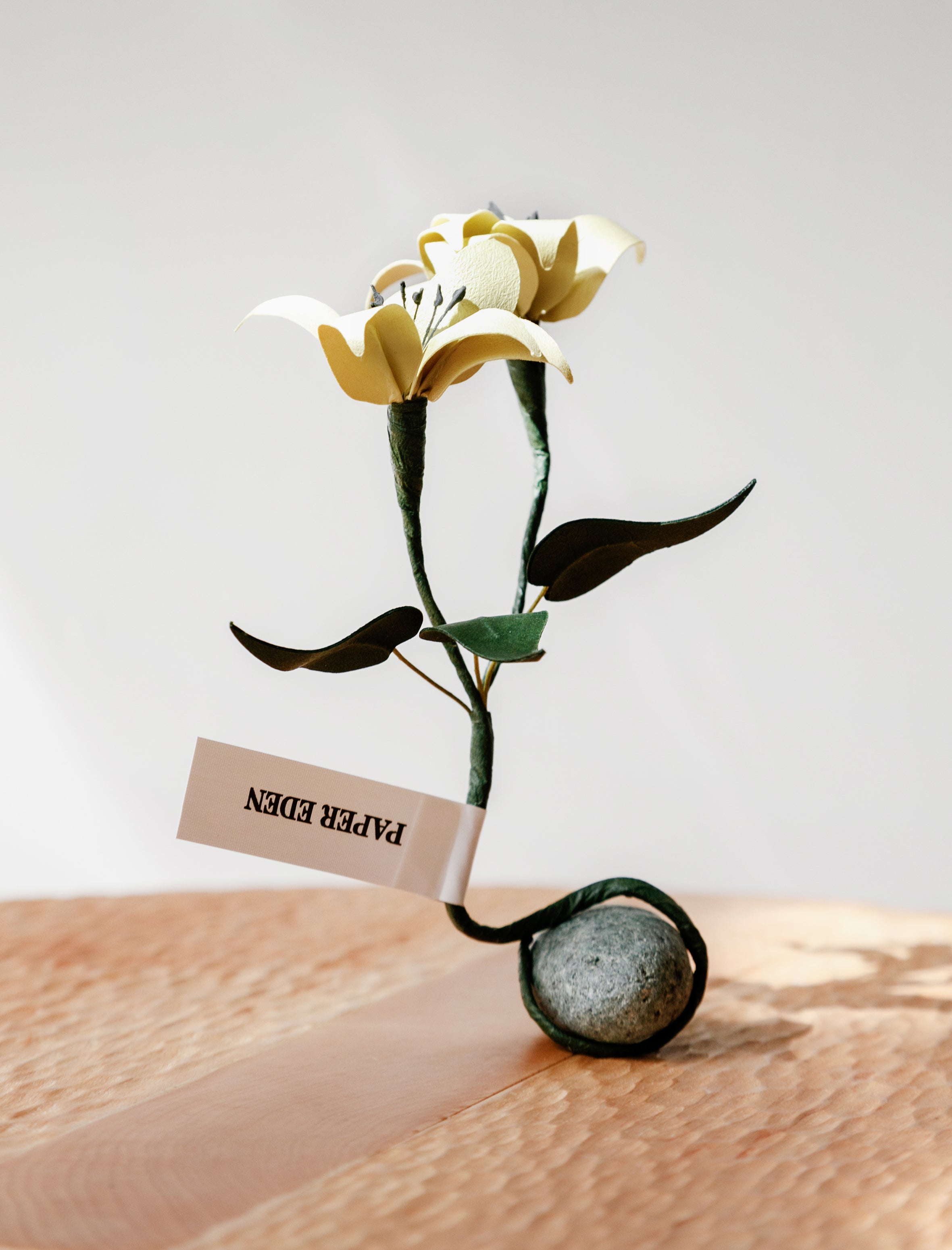 Edenworks Post Flower Paper Madder