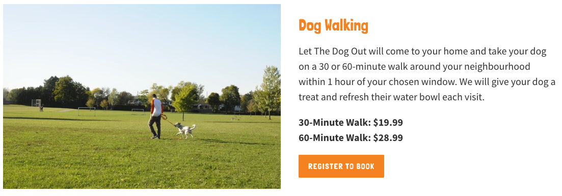 ltdo dog walking passeggiate per cani
