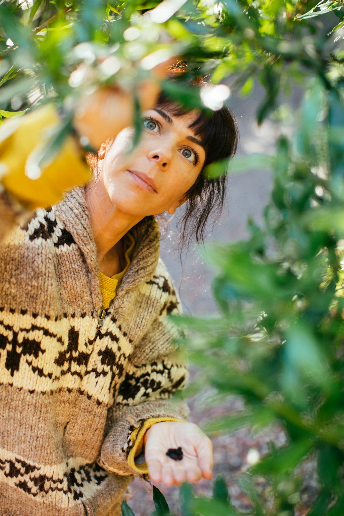 Angela L'Heureux in a brown patterned sweater hand picks ingredients off of a tree for her body care products.