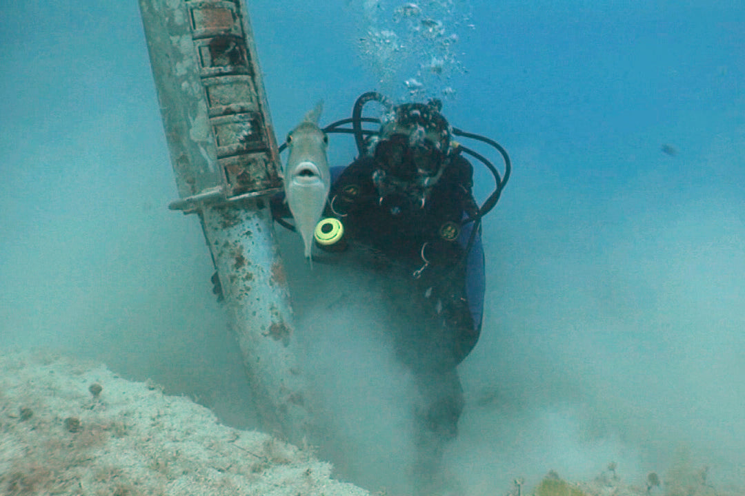 A diver searches for treasure in the waters surrounding Key West, Florida