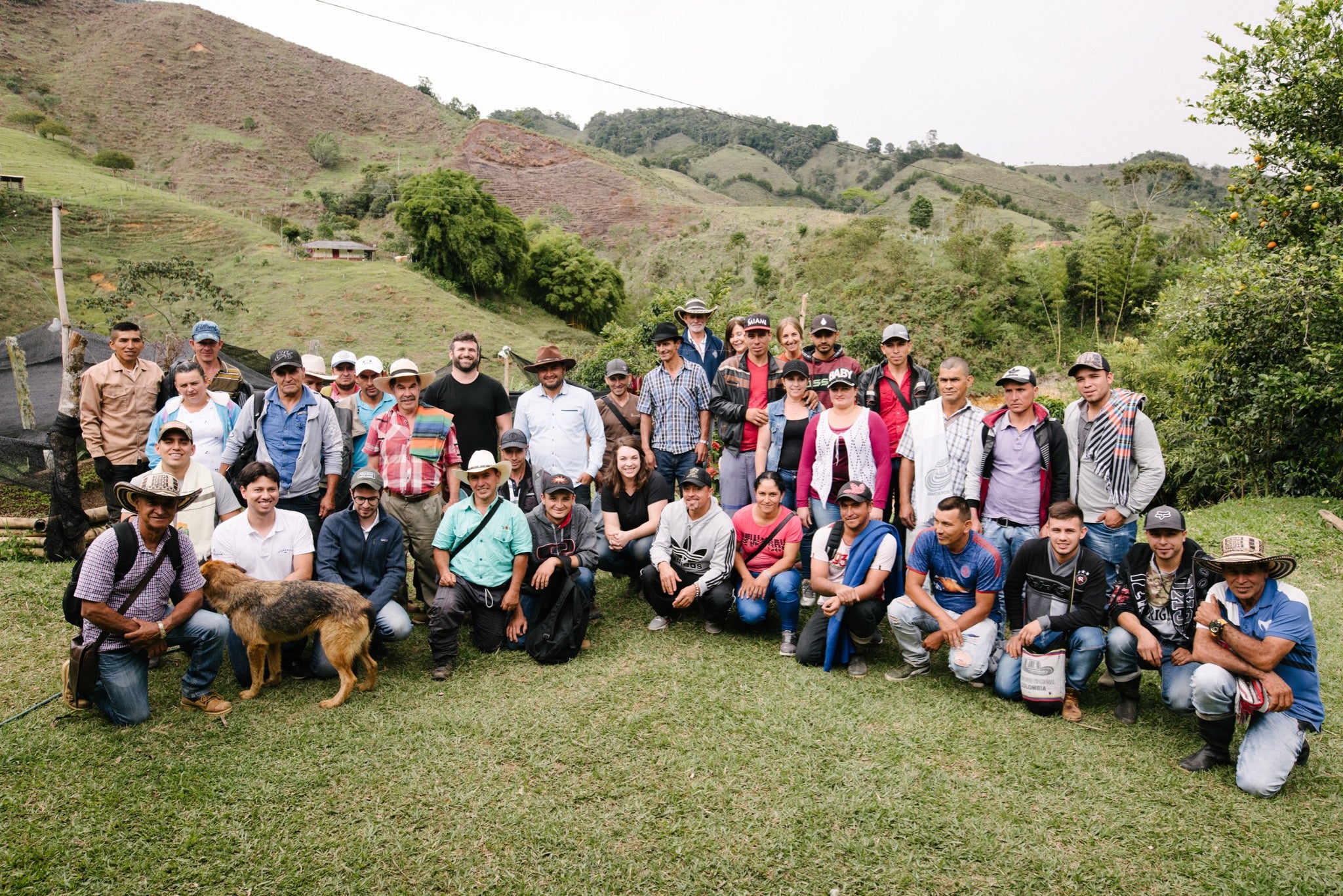 Team of farmers at the Verve Coffee's nursery in the remote region of Urrao, Columbia. 