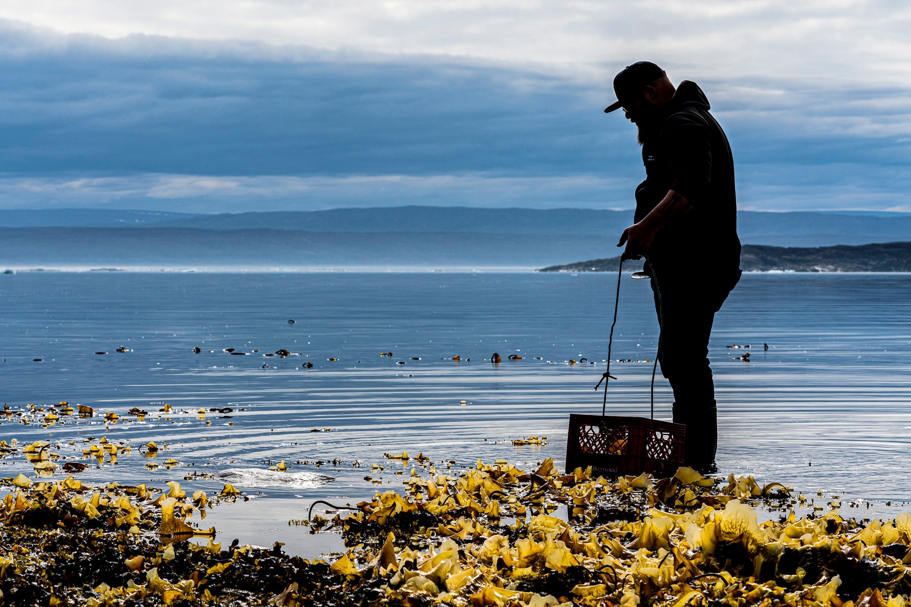 Photograph of Justin Clarke in silhouette as the sun has set, with the Nunavut landscape behind him, after a day of foraging for lichen. 