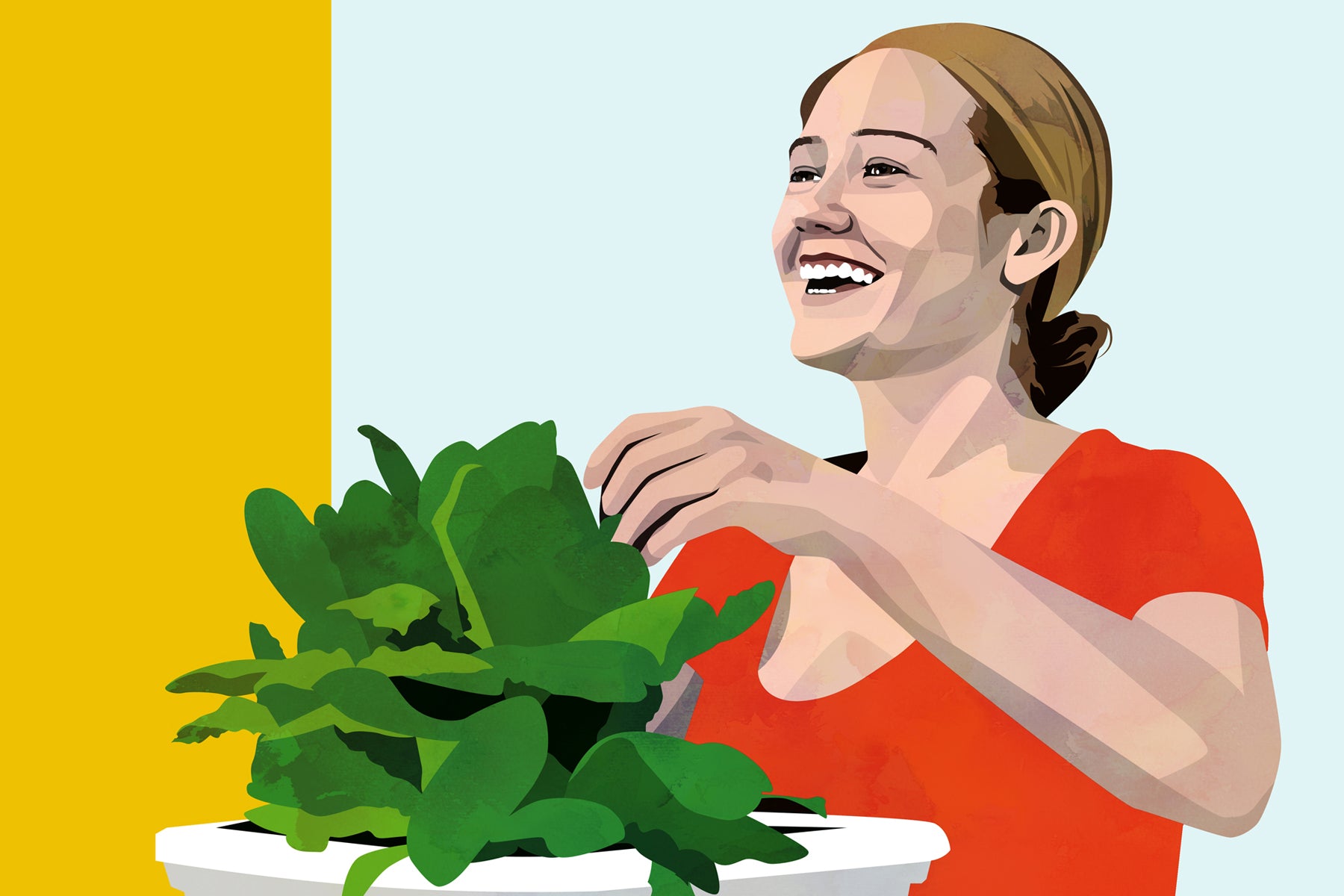 Illustration of a woman in a red shirt, smiling while using the SucSeed hydroponic system, built by at-risk youth.