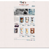 ecommerce=