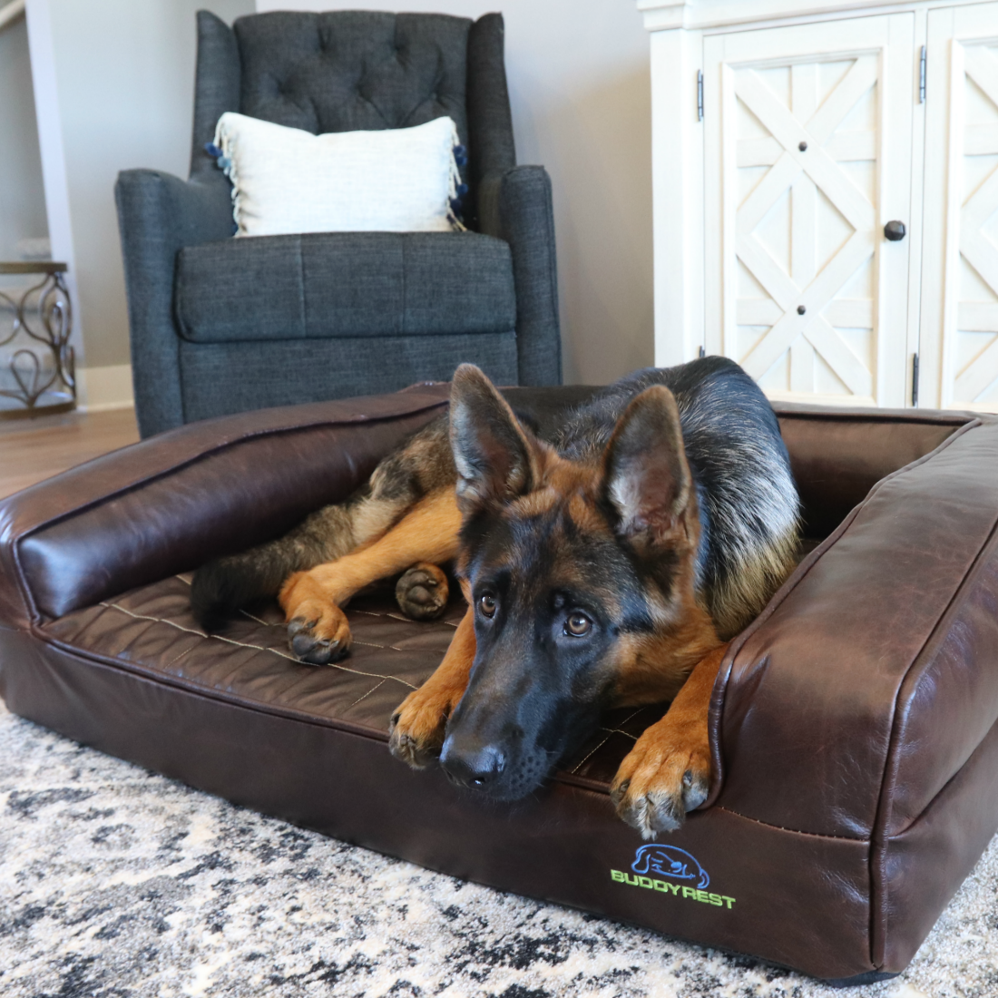 A large brown lag on a BuddyRest mattress designed for dogs.  