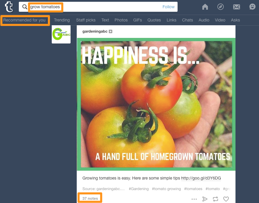 Screenshot of Tumblr search for grow tomatoes