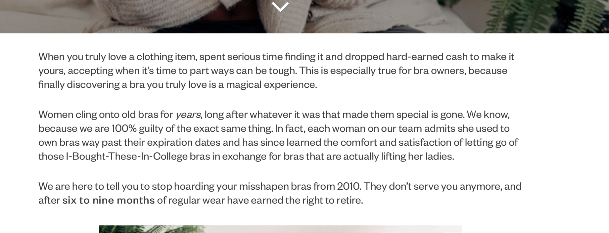 blog example of bra content