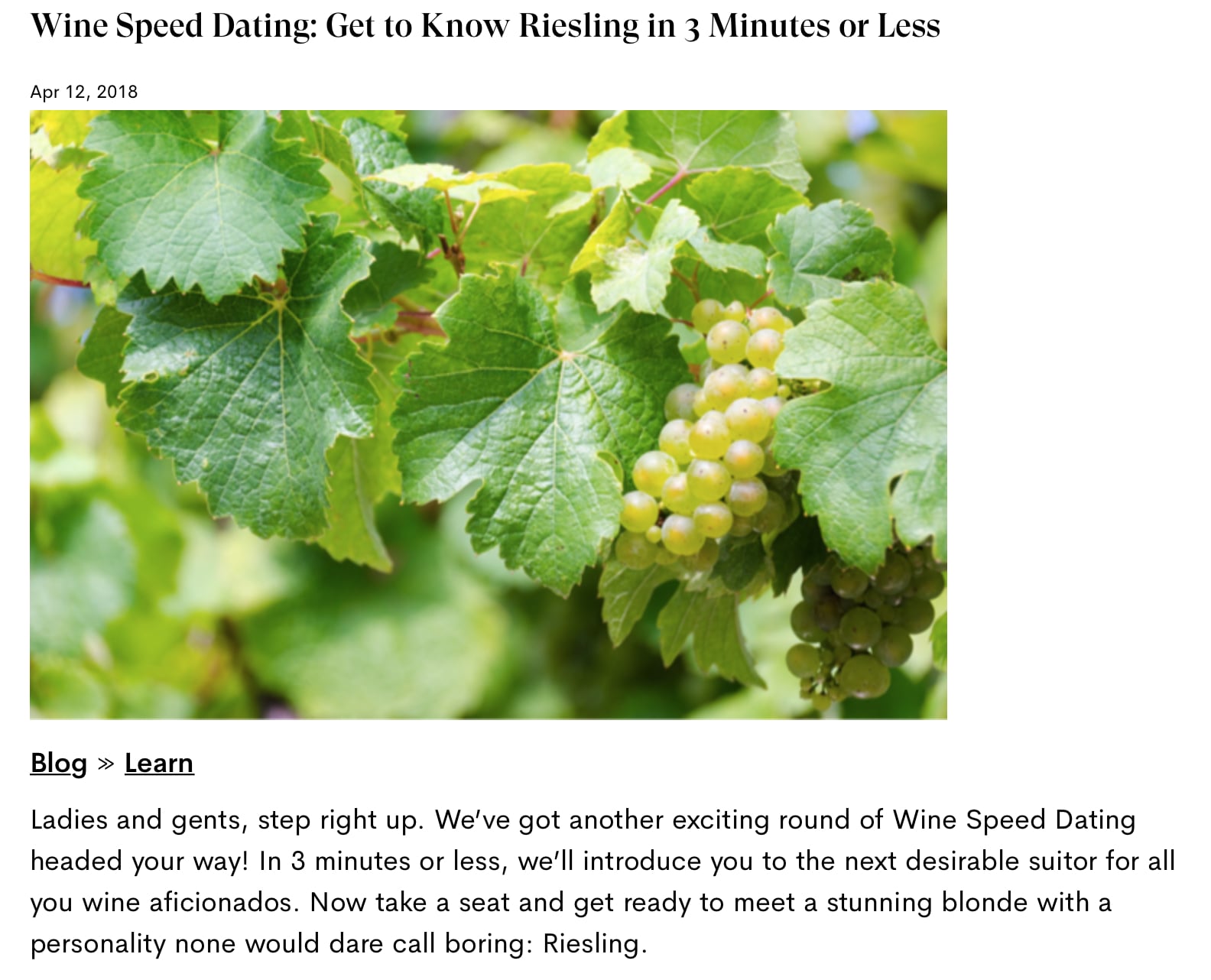 blog example for wine