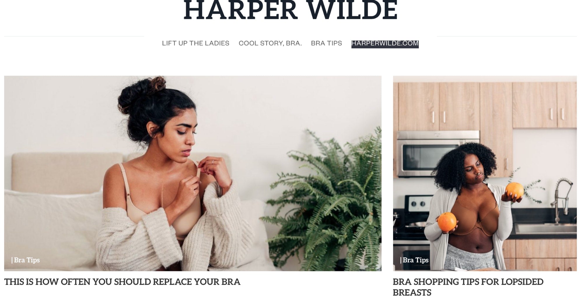 blog example for a bra company