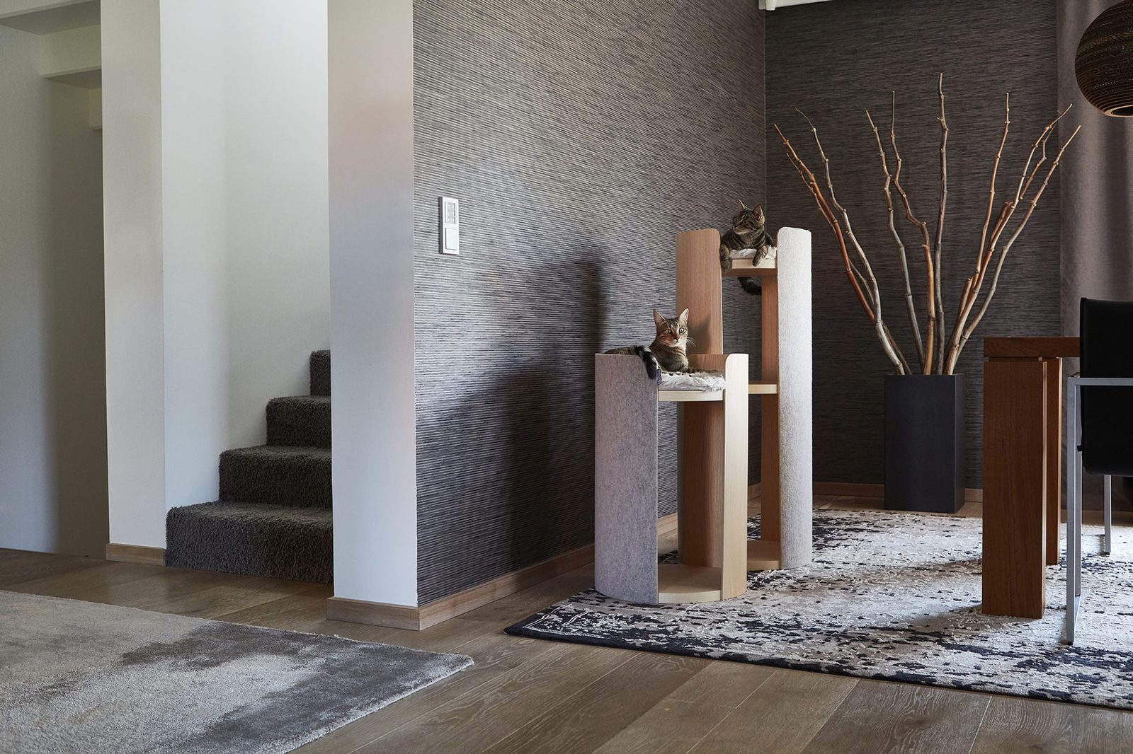 Cats sitting on modern cat furniture in a modern living space