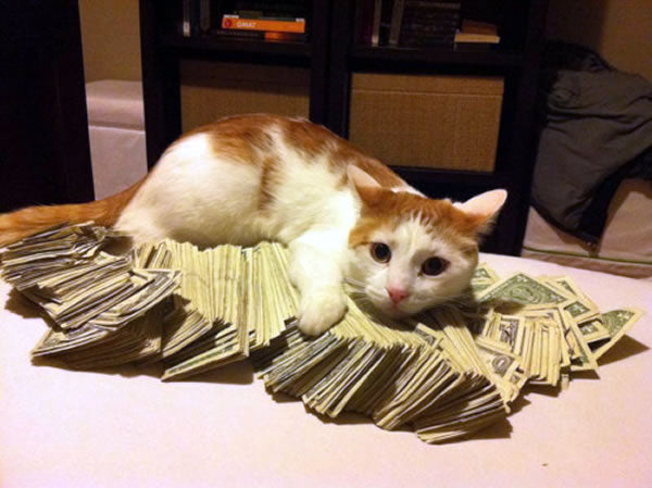 money_cat_grande.jpg?113190