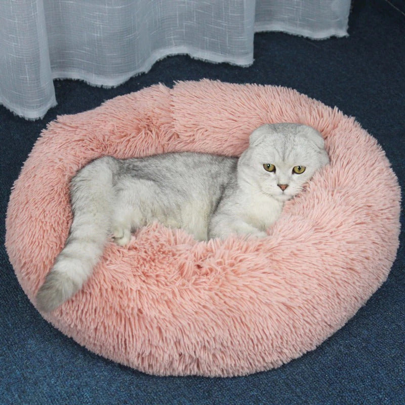 Eine weiße Katze liegt in einem rosa Katzenbett