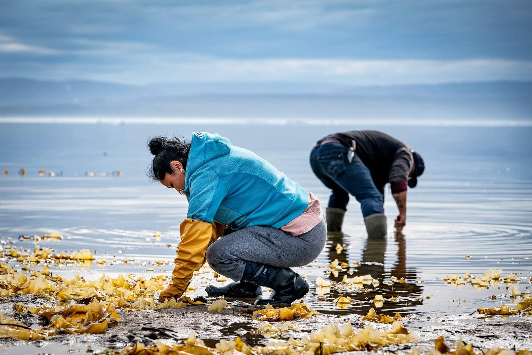 Photograph of Bernice and Justin Clarke, founders of UasaU soap, bent over, side by side foraging for seaweed in Nunavut.