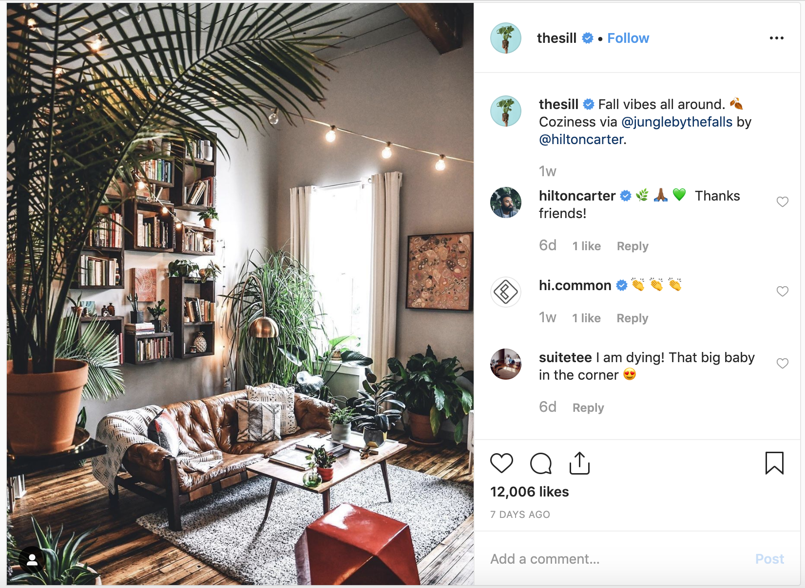 The Sill Instagram post of a beautify plant-filled living room with the copy reading Fall vibes all around