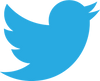 twitter brand logo