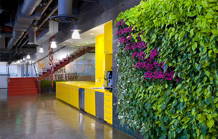 Whole Foods Green Office