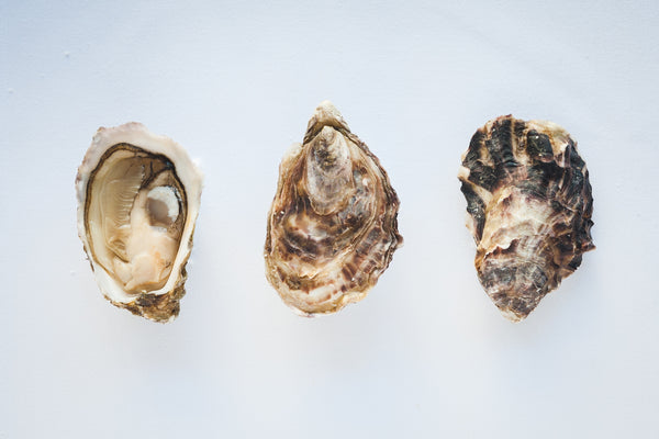 lindisfarne-oysters