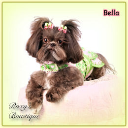 Name: Bella Breed: Shih-Tzu Location: Nebraska Item:  Pink Jacquard Daisy Puppy Dog Bow Designer:  Roxy's Bowtique