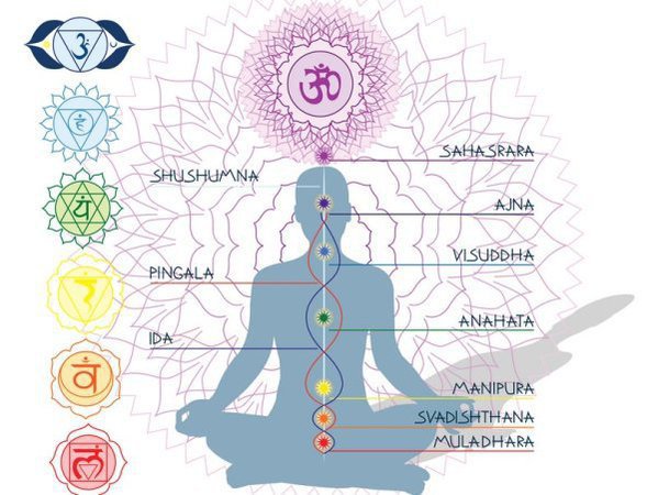 nadis chakras ida pingala