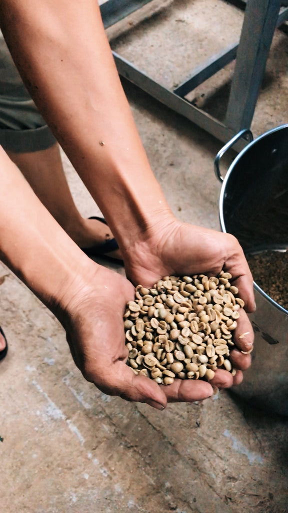 vietnamese coffee farm nguyen coffee supply single origin